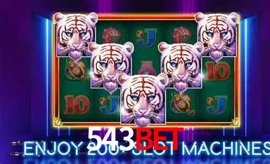 APP oficial da 543bet para mobile